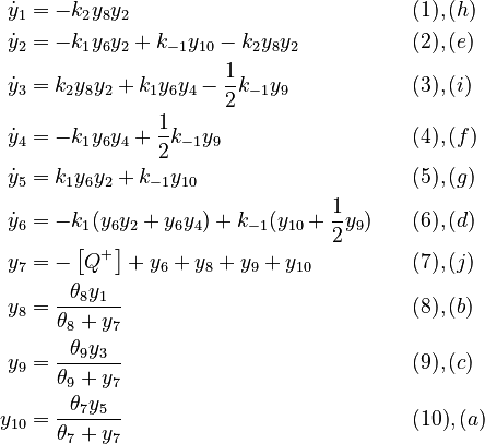 
  \begin{align}
  \dot{y}_1 &= -k_2 y_8 y_2 && \quad (1),(h) \\
  \dot{y}_2 &= -k_1 y_6 y_2 + k_{-1} y_{10} - k_2 y_8 y_2 && \quad (2),(e) \\
  \dot{y}_3 &= k_2 y_8 y_2 + k_1 y_6 y_4 - \frac{1}{2} k_{-1} y_9 && \quad (3),(i) \\
  \dot{y}_4 &= -k_1 y_6 y_4  + \frac{1}{2} k_{-1} y_9 && \quad (4),(f) \\
  \dot{y}_5 &= k_1 y_6 y_2 + k_{-1} y_{10} && \quad (5),(g) \\
  \dot{y}_6 &= -k_1 (y_6 y_2 + y_6 y_4) + k_{-1} (y_{10} + \frac{1}{2} y_9) && \quad (6),(d) \\
  y_7 &= -\left[ Q^+ \right] + y_6 + y_8 + y_9 + y_{10} && \quad (7),(j)\\
  y_8 &= \frac{\theta_8 y_1}{\theta_8 + y_7} && \quad (8),(b)\\
  y_9 &= \frac{\theta_9 y_3}{\theta_9 + y_7} && \quad (9),(c)\\
  y_{10} &= \frac{\theta_7 y_5}{\theta_7 + y_7} && \quad (10),(a)
  \end{align}
 