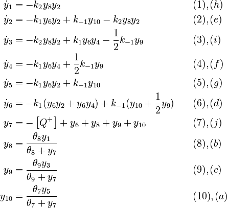 
  \begin{align}
  \dot{y}_1 &= -k_2 y_8 y_2 && \quad (1),(h) \\
  \dot{y}_2 &= -k_1 y_6 y_2 + k_{-1} y_{10} - k_2 y_8 y_2 && \quad (2),(e) \\
  \dot{y}_3 &= -k_2 y_8 y_2 + k_1 y_6 y_4 - \frac{1}{2} k_{-1} y_9 && \quad (3),(i) \\
  \dot{y}_4 &= -k_1 y_6 y_4  + \frac{1}{2} k_{-1} y_9 && \quad (4),(f) \\
  \dot{y}_5 &= -k_1 y_6 y_2 + k_{-1} y_{10} && \quad (5),(g) \\
  \dot{y}_6 &= -k_1 (y_6 y_2 + y_6 y_4) + k_{-1} (y_{10} + \frac{1}{2} y_9) && \quad (6),(d) \\
  y_7 &= -\left[ Q^+ \right] + y_6 + y_8 + y_9 + y_{10} && \quad (7),(j)\\
  y_8 &= \frac{\theta_8 y_1}{\theta_8 + y_7} && \quad (8),(b)\\
  y_9 &= \frac{\theta_9 y_3}{\theta_9 + y_7} && \quad (9),(c)\\
  y_{10} &= \frac{\theta_7 y_5}{\theta_7 + y_7} && \quad (10),(a)
  \end{align}
 